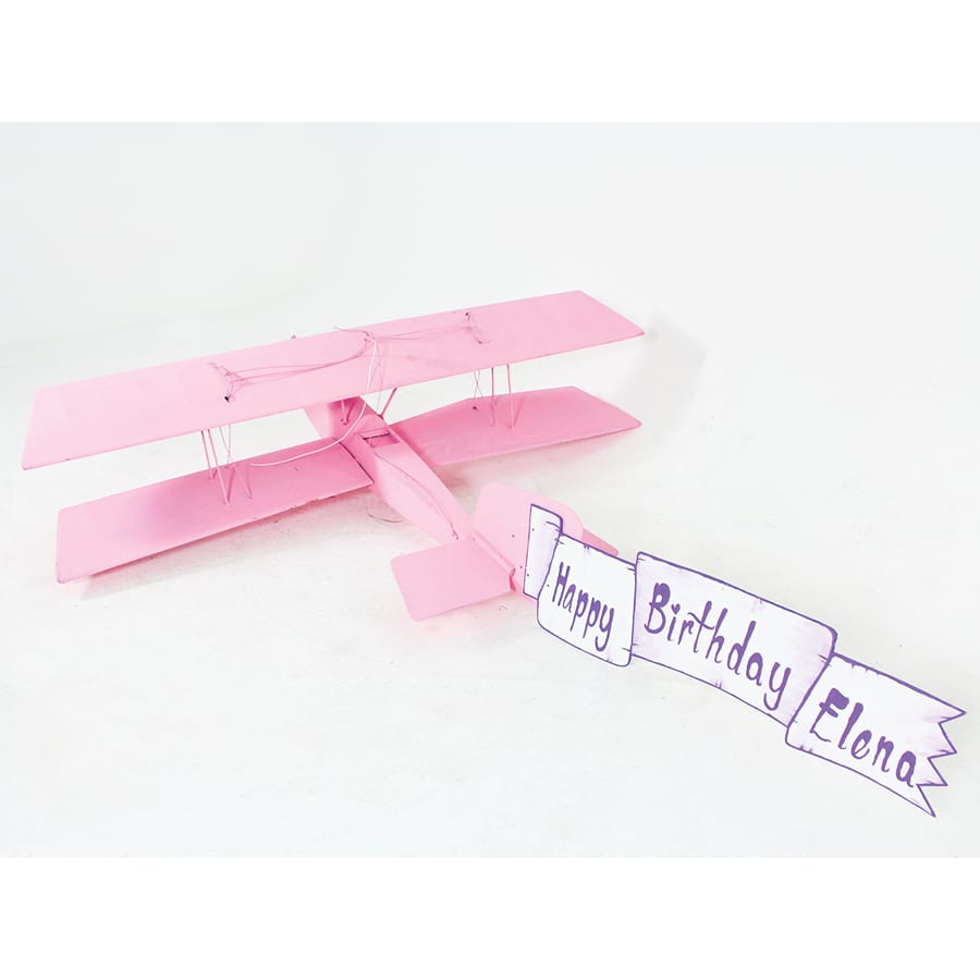 Bi-Plane-18681