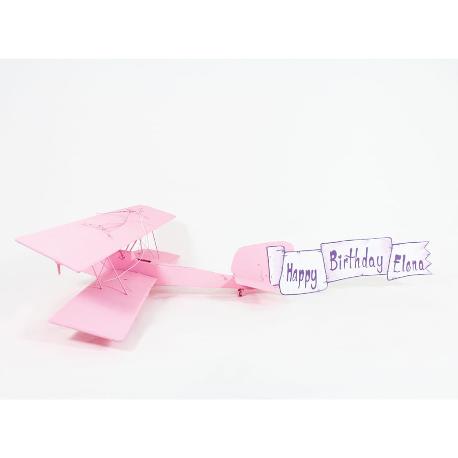 Bi-Plane-18680
