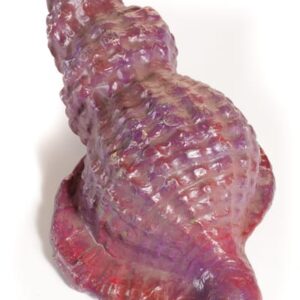 Medium Sea Shell-0