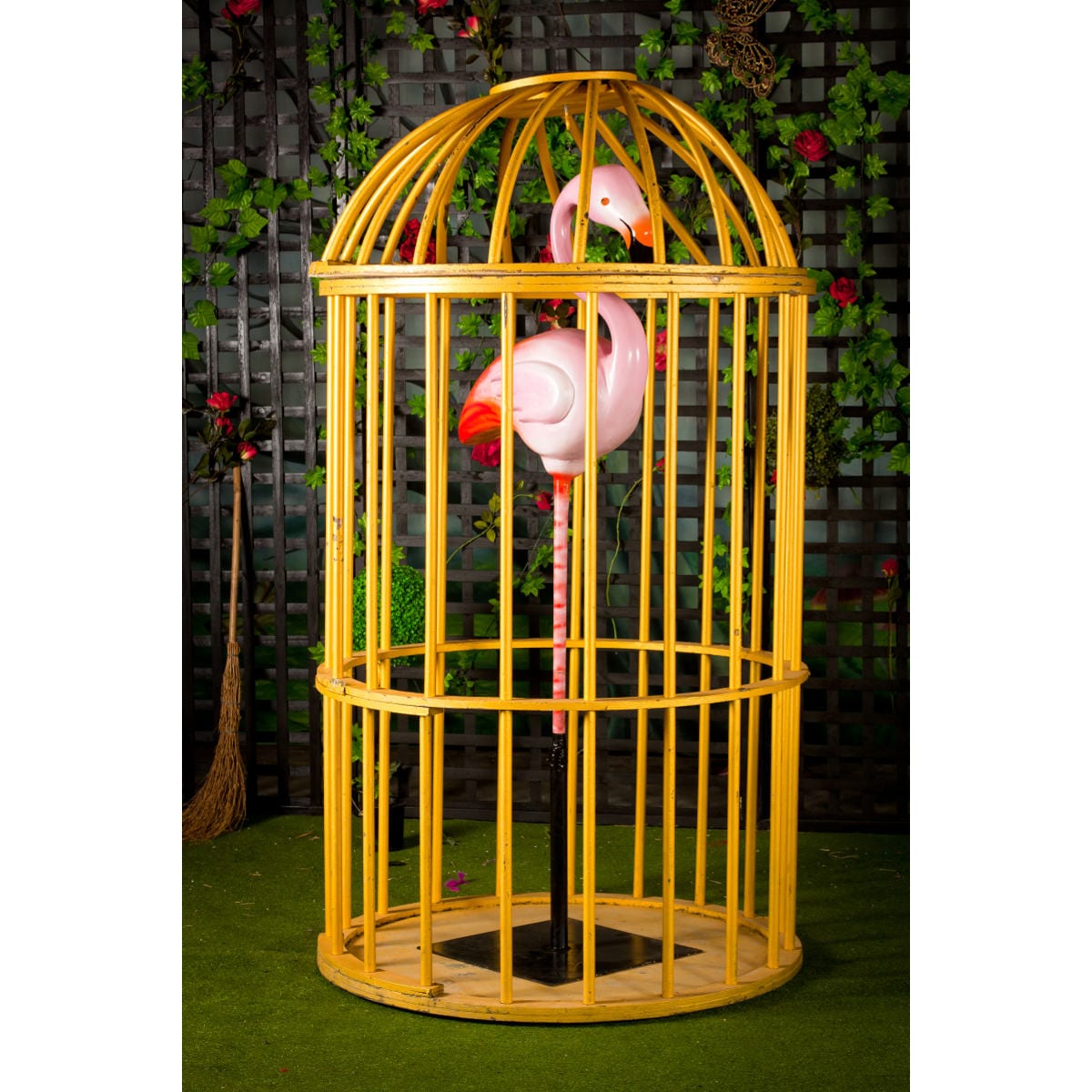 Flamingo on pole in GoGo cage