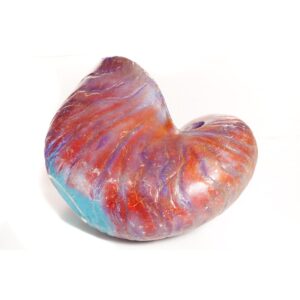 Large Fibreglass Sea Shell-0