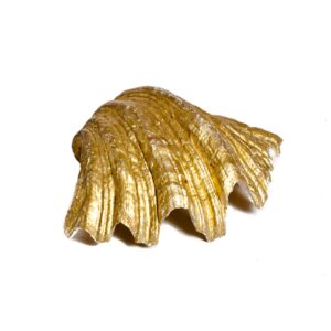 Golden Sea Shell-0