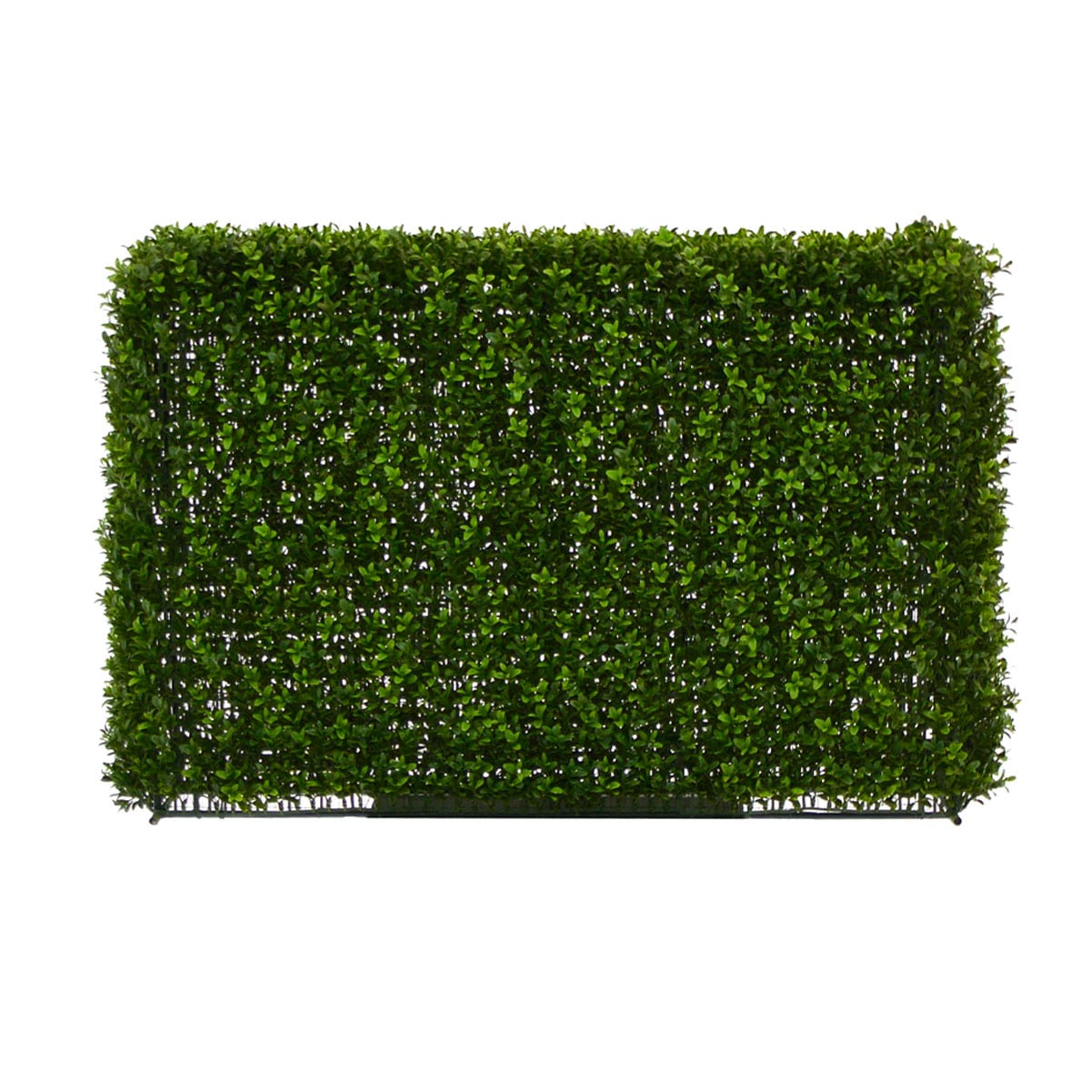 Medium Hedge Wall