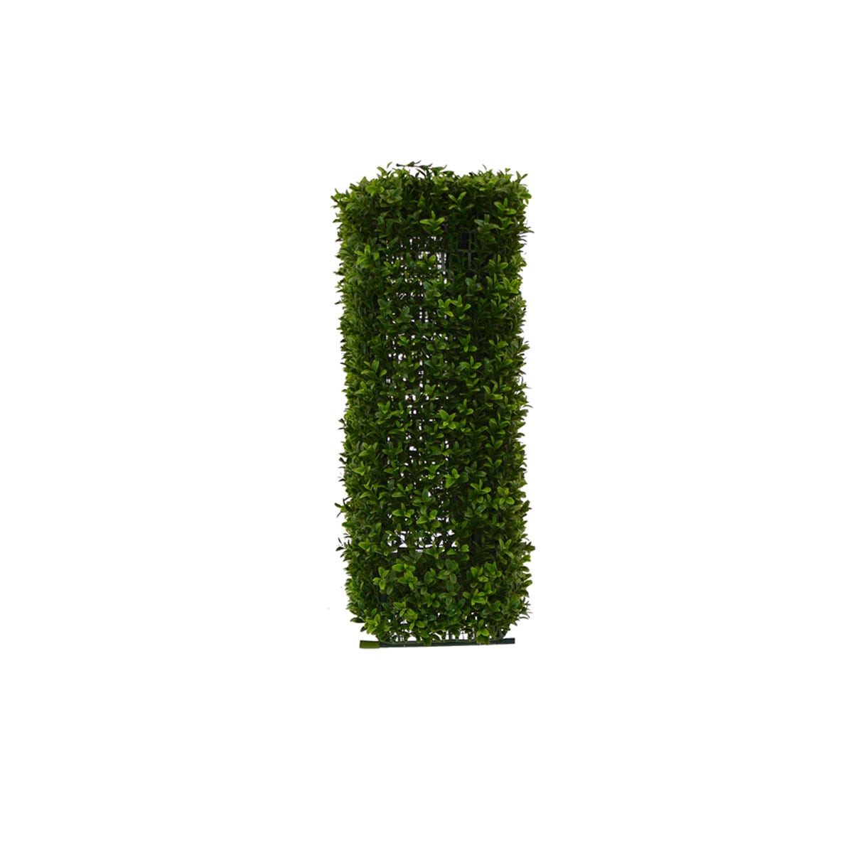 Medium Hedge Wall - side view