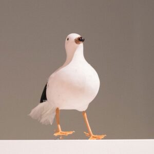 Seagull-0