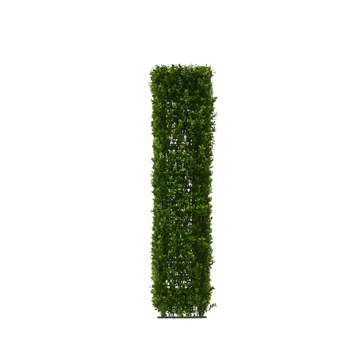 Large Hedge Wall