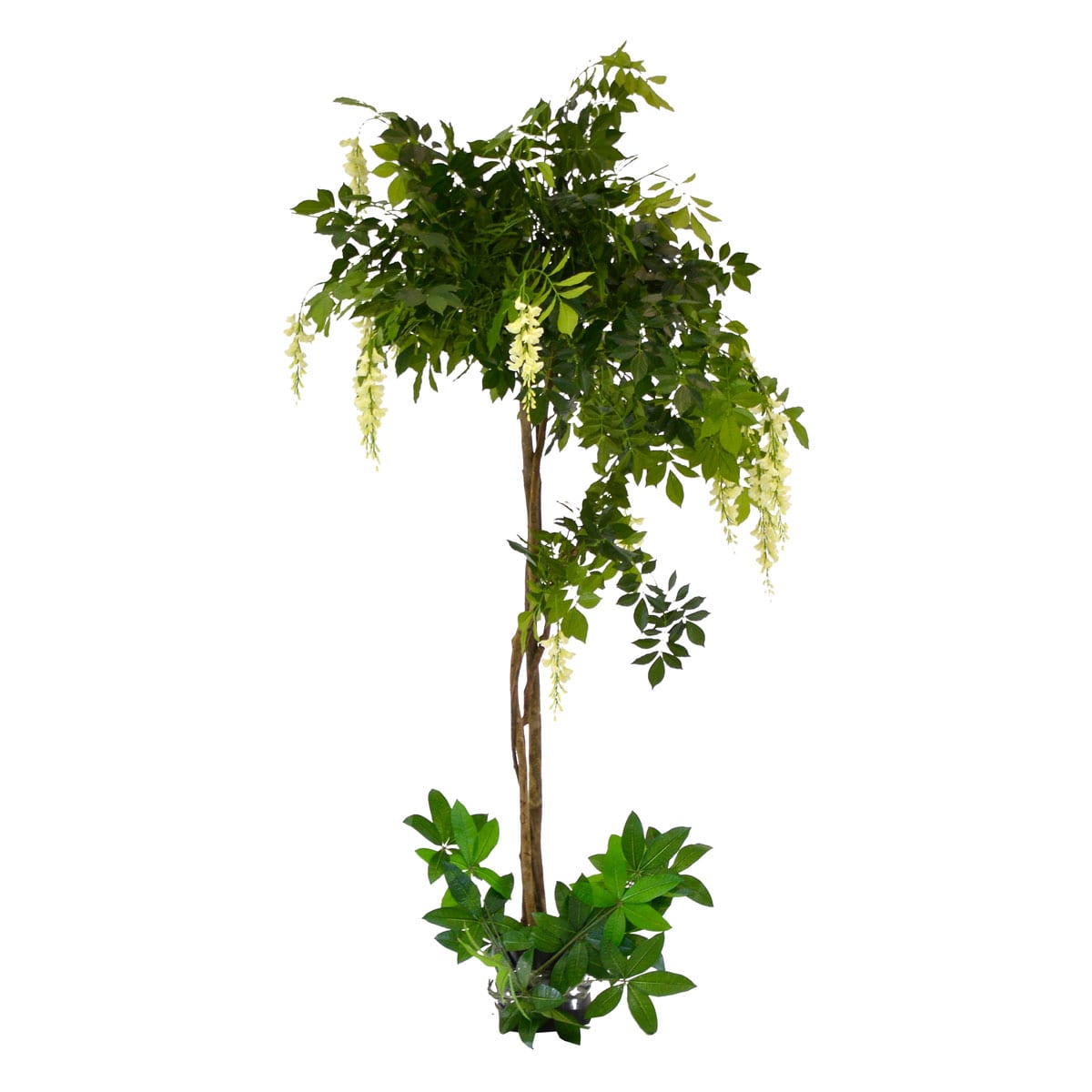 Artificial Potted White Flowering Wisteria