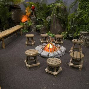 Camp Fire