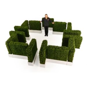 Hedge Maze