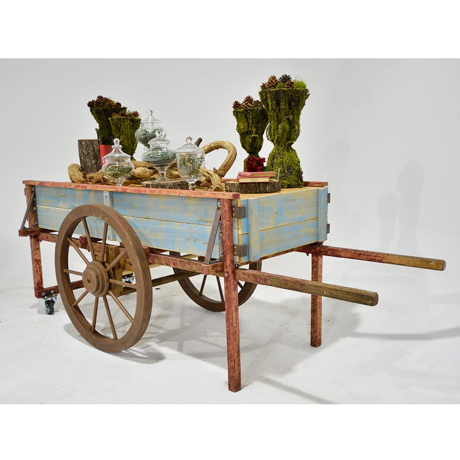 Cart 21: Large Rustic Peasant Cart-18234