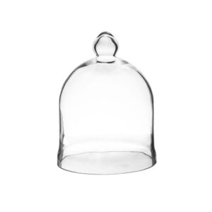 Glass Cloche-0