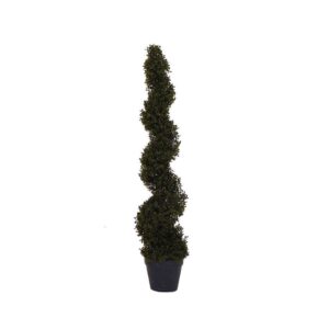 Spiral Hedge-0