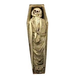 Mummy in Coffin
