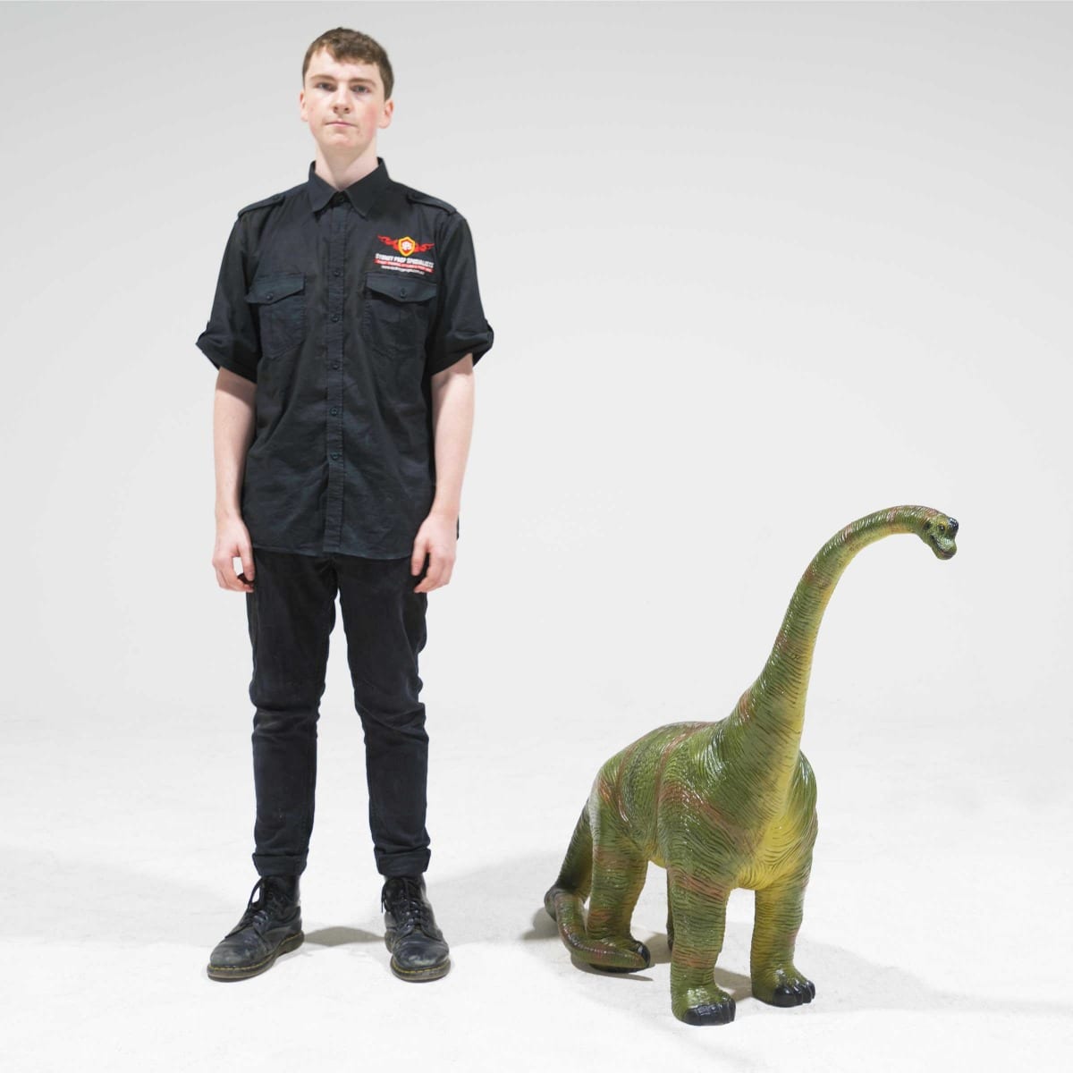 Brachiosaurus Dinosaur Statue - Small -19417