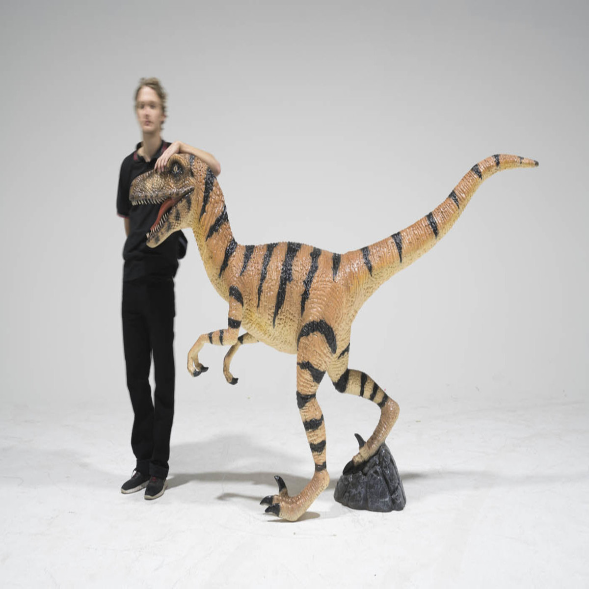 Velociraptor Dinosaur Statue - Large - Image 4