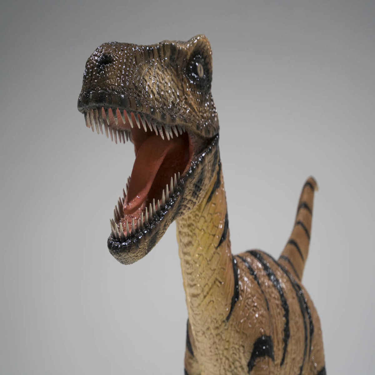 Velociraptor Dinosaur Statue - Large - Image 3