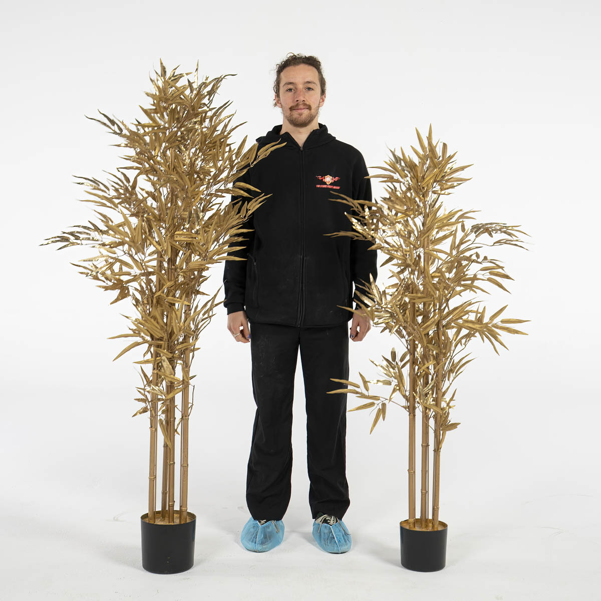 Assorted Gold Tree - Image 7