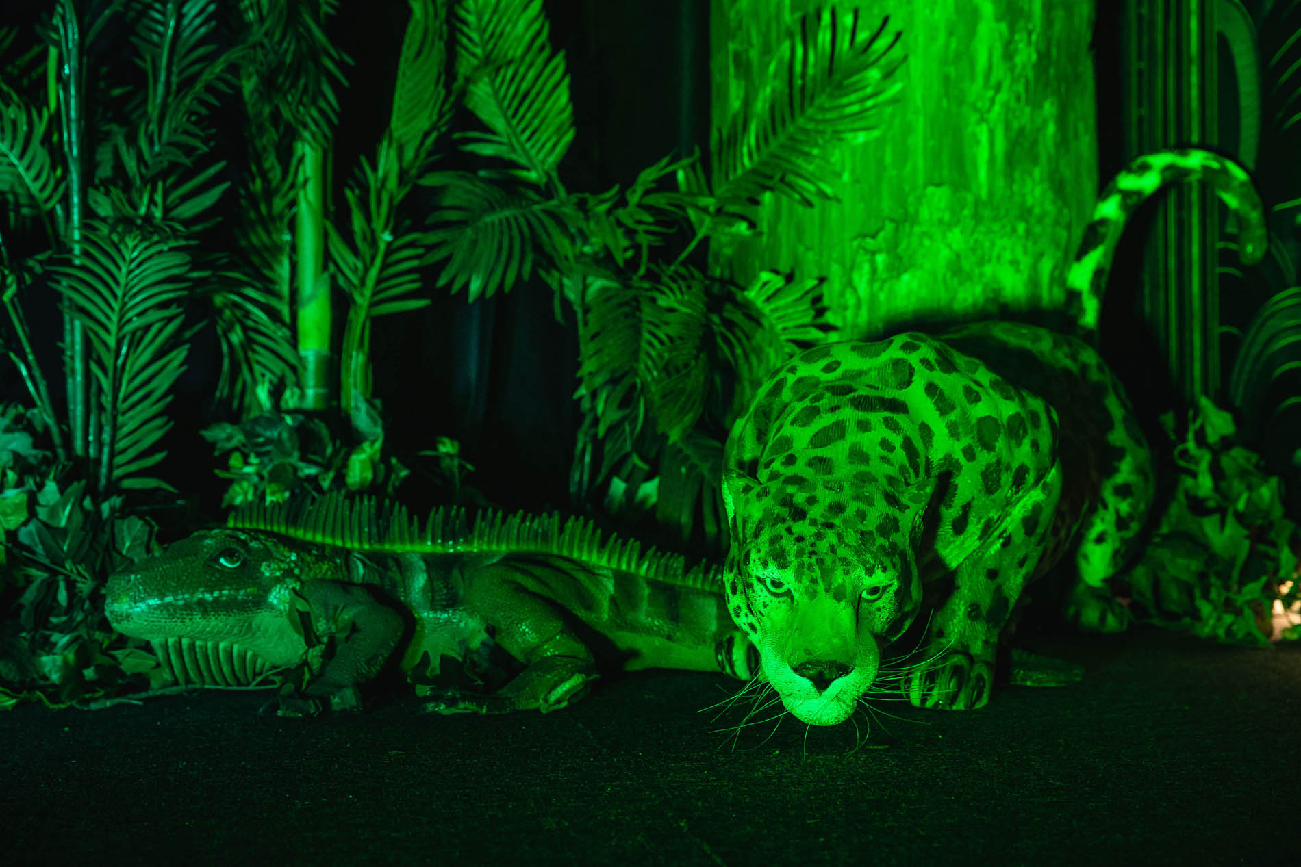A Night at the Museum